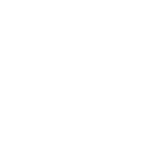 Mini Snkrz